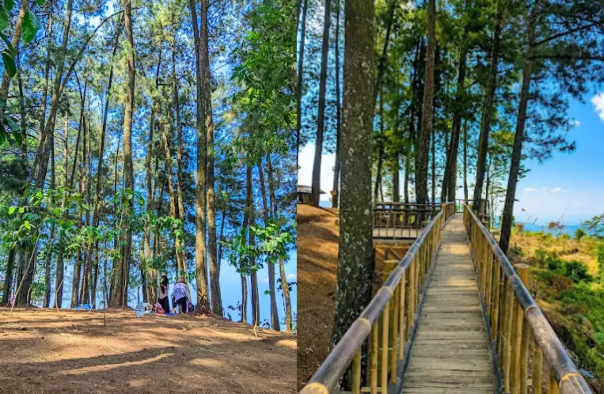 Bukit Batu Lonceng Wisata Alam yang Masih Sepi di Cianjur, Cocok Buat Camping