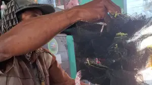 Nelayan jaring tanam Ujunggenteng Sukabumi (Sumber: dok nelayan)
