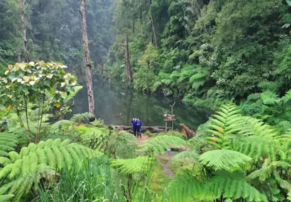 Danau Urugan yang ada di jalur trekking Lembah Tengkorak Sumedang, salah satu destinasi wisata untuk menikmati momen libur akhir pekan. (Sumber : Gmaps/gie sonjaya)
