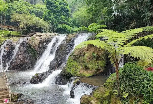 Curug Kiwari, salah satu air terjun di Maribaya Lembang untuk liburan akhir pekan. (Sumber : Gmaps/Raynardthan)