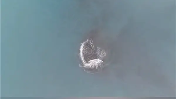 Daratan baru yang disebut sebagai Cucu Krakatau. (Sumber : X@lampunggehh).
