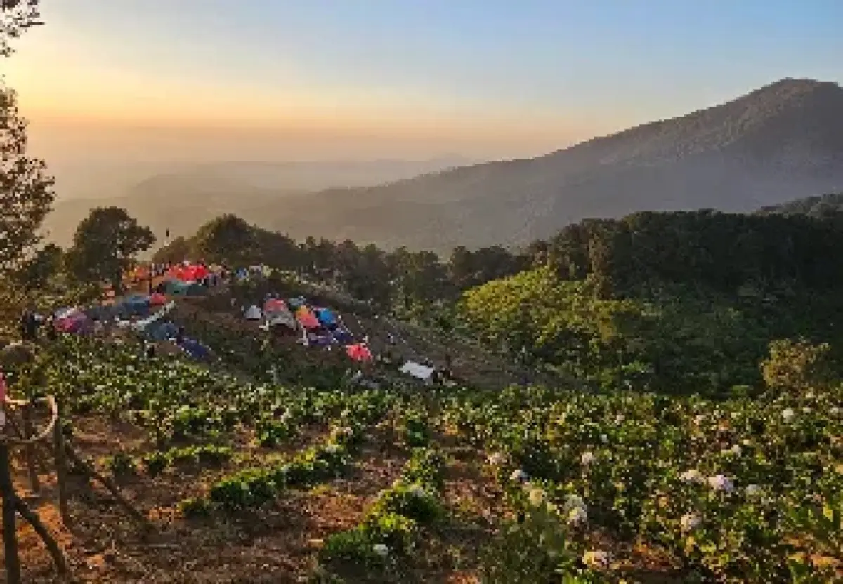 Gunung Luhur Sukamakmur, Pilihan Pendakian Singkat untuk Menikmati Panorama Bogor