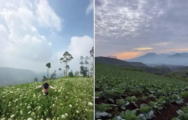 Gunung Artapela, salah satu destinasi pendakian yang ada di kawasan Bandung yang cocok untuk pendaki pemula. (Sumber : Gmaps)