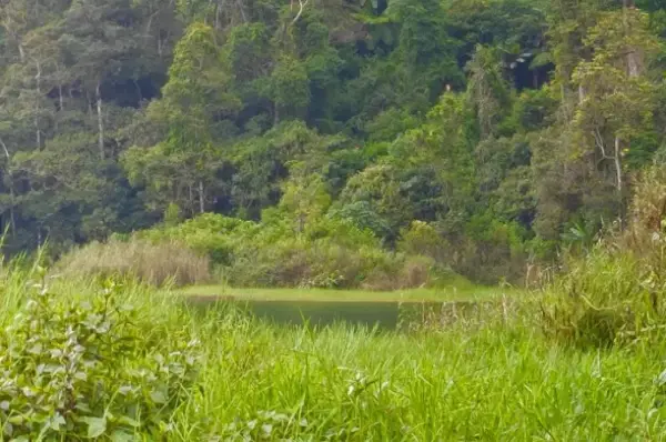 Situ Aul atau Situ Cibitung, salah satu danau alami di Bandung Selatan untuk menikmati libur akhir pekan. (Sumber : Gmaps)