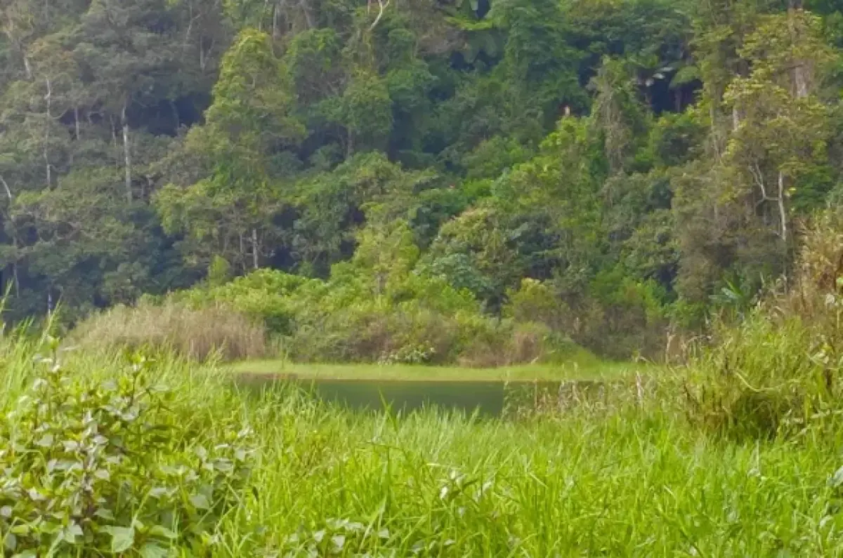 Ada Situ Aul di Gunung Artapela Bandung, Danau Alami yang Masih Tersembunyi