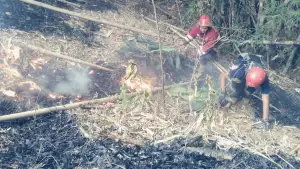 Petugas Damkar saat melakukan pemadaman kebakaran lahan di area PT Wonokoyo, Kampung Sekarsari, Desa Munjul, Kecamatan Ciambar, Senin siang (28/9/2026). (Sumber Foto: Dok. Damkar Parungkuda)