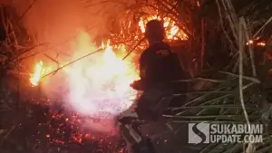 Petugas saat memadamkan api menggunakan ranting pohon dalam peristiwa kebakaran lahan perkebunan di Cikangkung Ciracap Sukabumi, Senin (28/9/2026). (Sumber Foto: Istimewa)