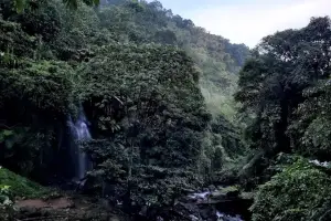 Curug Ciampea, salah satu air terjun yang ada di Bogor untuk menghabiskan libur akhir pekan. (Sumber : Gmaps/Aditya Krisnadi)
