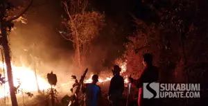 Kebakaran kebun jati di Kampung Bojongkopo RT 04/01 Desa Loji, Kecamatan Simpenan, Kabupaten Sukabumi, Selasa (29/9/2026). | Foto: P2BK Simpenan
