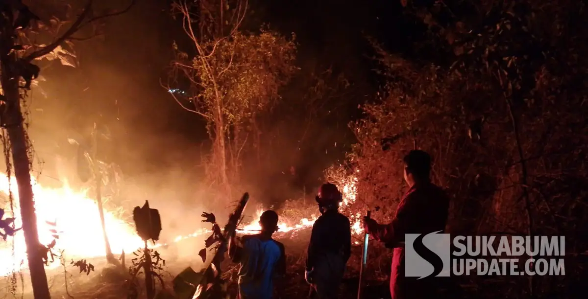 Kebun Jati di Simpenan Sukabumi Terbakar, Api Sempat Mendekati Permukiman