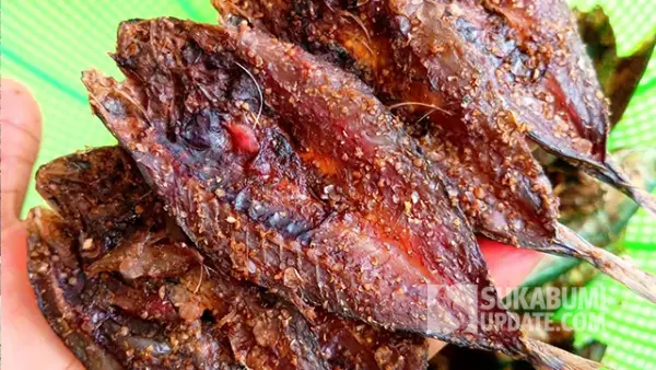 Dendeng Ikan Deles karya warga Desa Ciwaru, Kecamatan Ciemas Kabupaten Sukabumi. (Sumber : SU/Ragil Gilang).