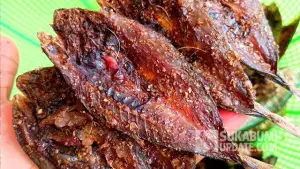 Dendeng Ikan Deles karya warga Desa Ciwaru, Kecamatan Ciemas Kabupaten Sukabumi. (Sumber : SU/Ragil Gilang).