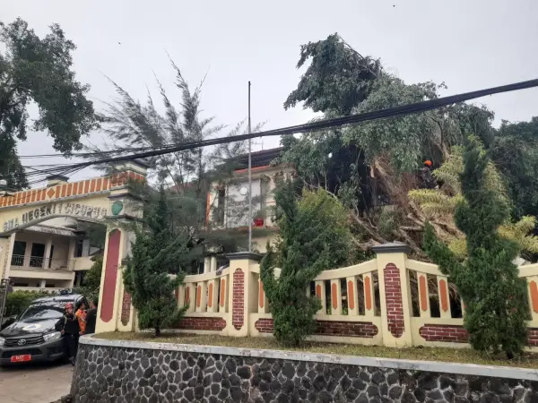 Petugas gabungan melakukan evakuasi pohon beringin yang tumbang di area SMAN 1 Cicurug, Kabupaten Sukabumi, Rabu 30 September 2026 sore (Sumber: Dok BPBD)