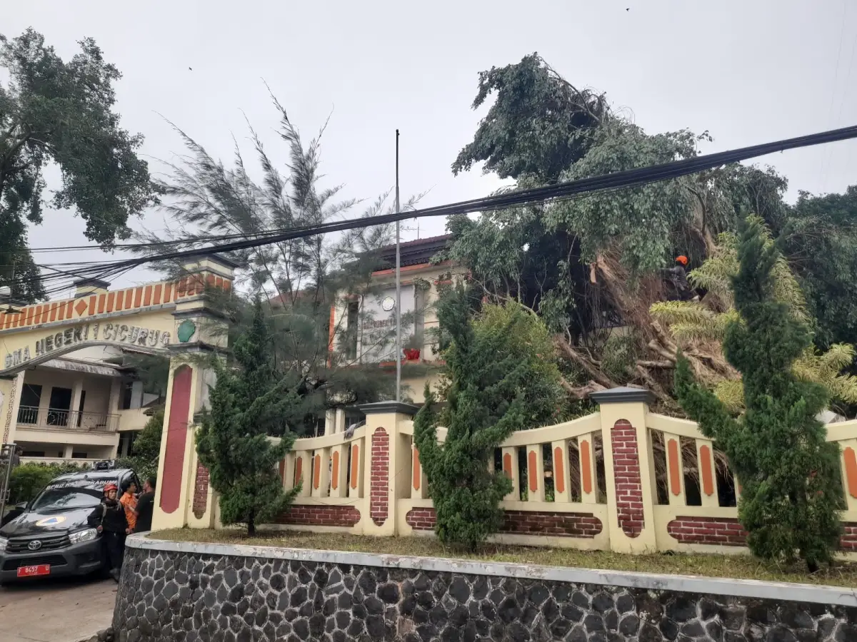 Badai di Sukabumi Utara: 12 Kendaraan Tertimpa Pohon Beringin Tumbang di SMAN 1 Cicurug