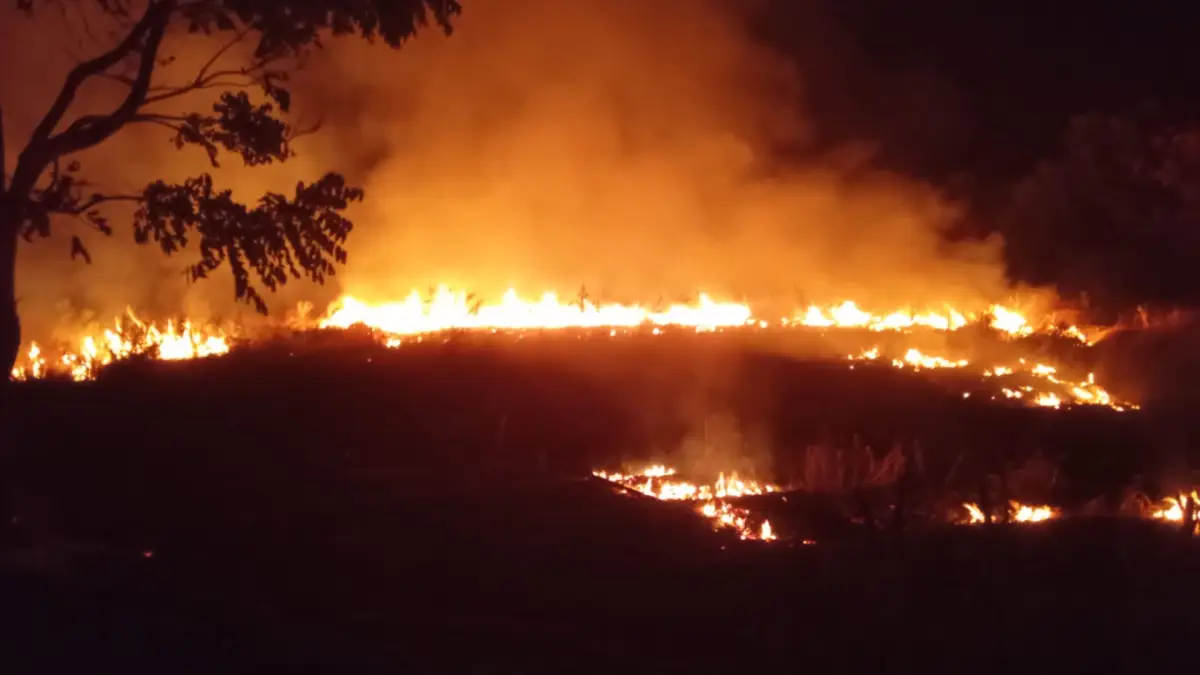 Diduga Akibat Puntung Rokok, Kebakaran Lahan di Simpenan Sukabumi Sempat Ancam Perumahan