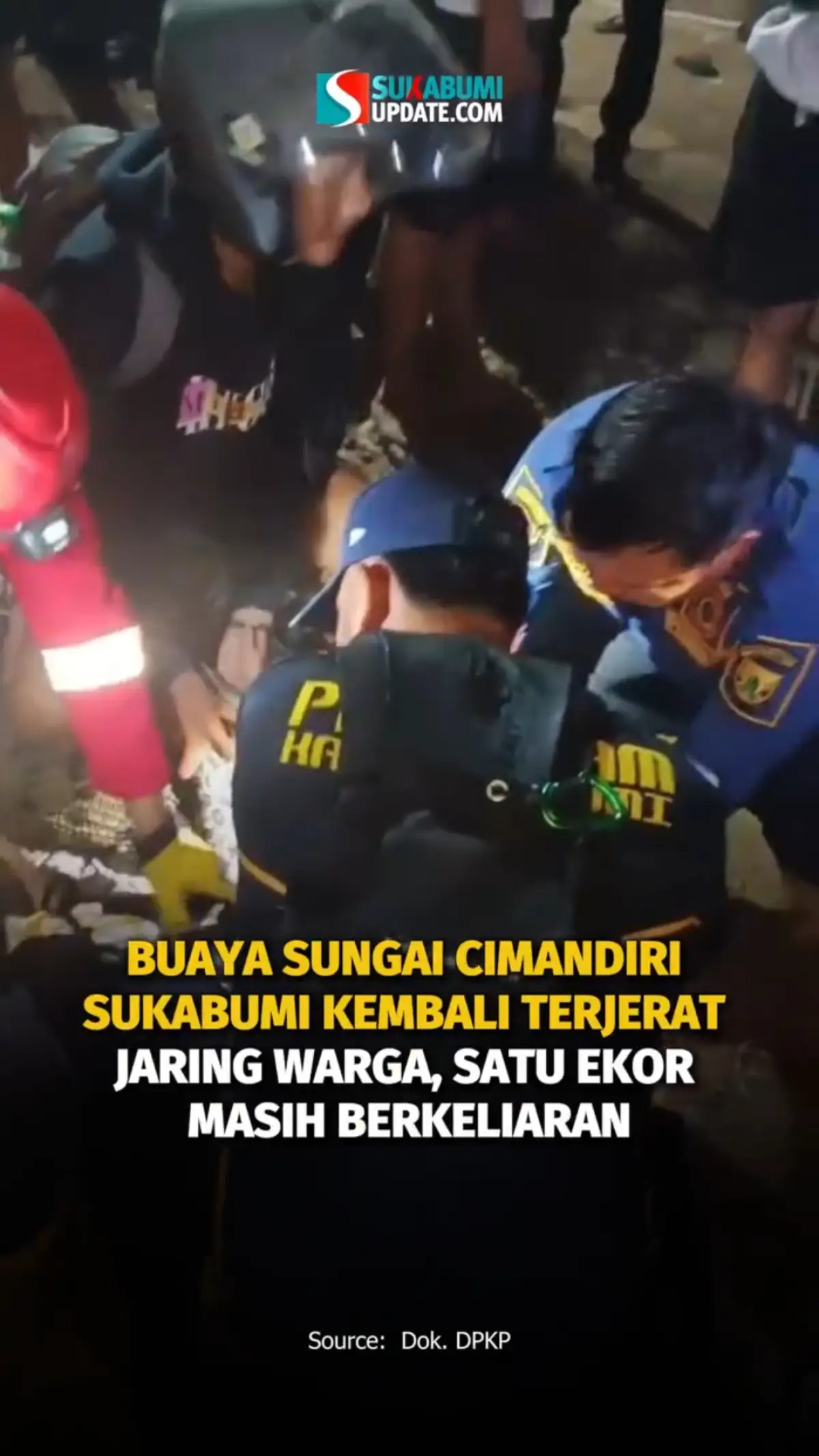 Buaya Sungai Cimandiri Sukabumi Kembali Terjerat Jaring Warga, Satu Ekor Masih Berkeliaran