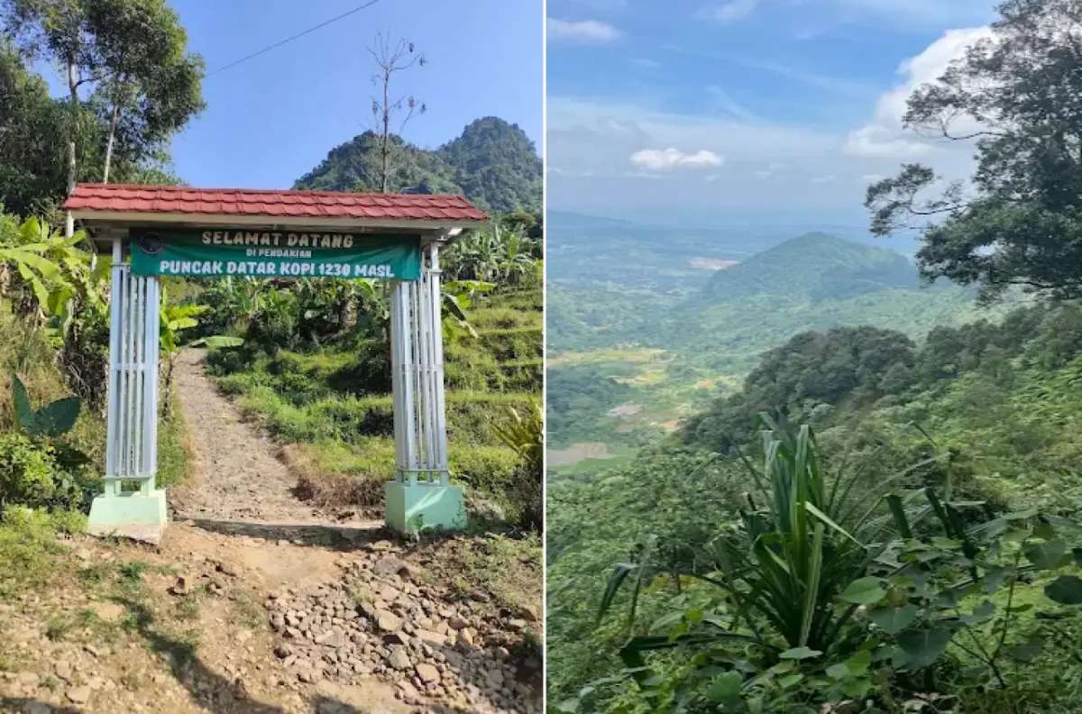 Puncak Datar Kopi Bogor, Bukit 1.230 Mdpl Untuk Bersantai dengan View 360 Derajat