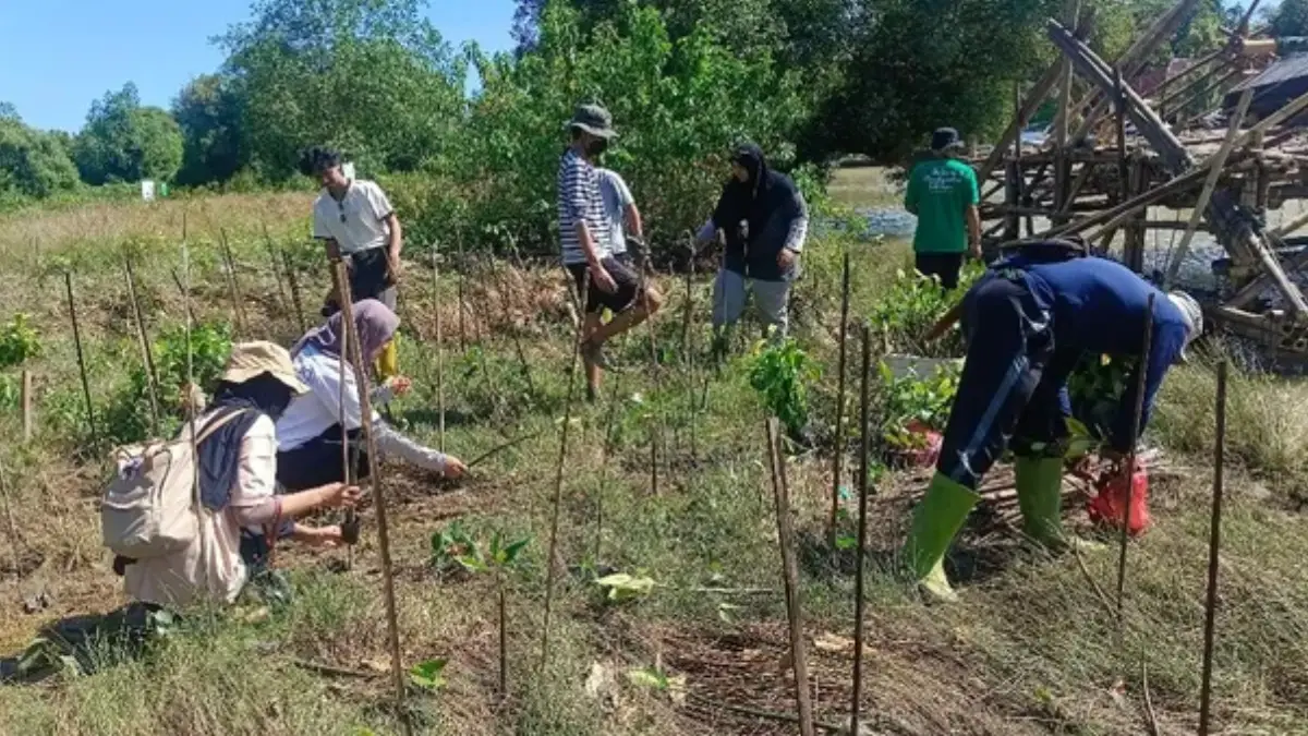 Warga tanam mangrove di pesisir Geopark Ciletuh Sukabumi