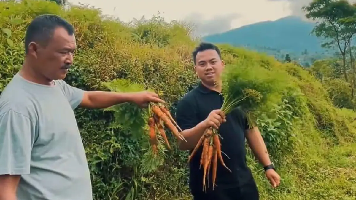 Koperasi RFF Jadi Andalan Pasokan Pangan SPPG, Bantu Petani Sukabumi Serap Hasil Panen