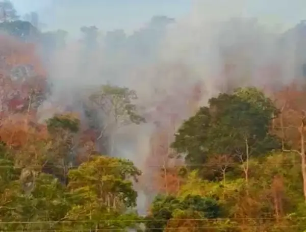 Asap tebal dan titik api masih terlihat di perbukitan Gunung Jayanti Palabuhanratu Kabupaten Sukabumi, Minggu 11 Oktober 2026 (Sumber: dok warga)