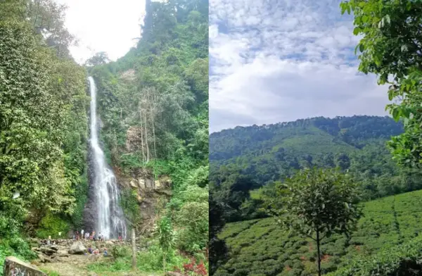 Curug Cijalu, salah satu air terjun legendaris yang ada di kawasan kaki Gunung Burangrang. (Sumber : Gmaps)