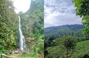 Curug Cijalu, salah satu air terjun legendaris yang ada di kawasan kaki Gunung Burangrang. (Sumber : Gmaps)