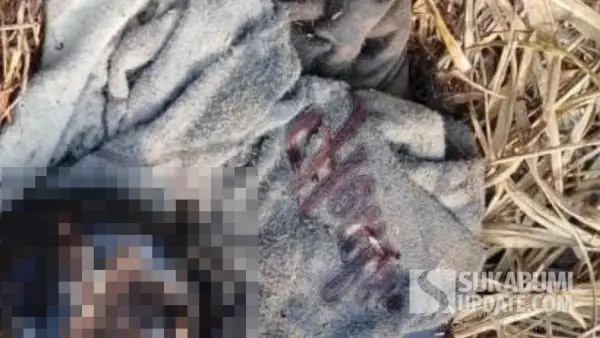 Hoodie abu-abu bertulisan warna merah di lokasi penemuan mayat perempuan di Ciemas Sukabumi (Sumber: dok tim)