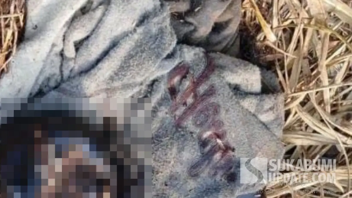 Kaos dan Celana Hitam, Hoodie Abu-abu Tulisan Warna Merah: Mayat Perempuan di Ciemas Sukabumi