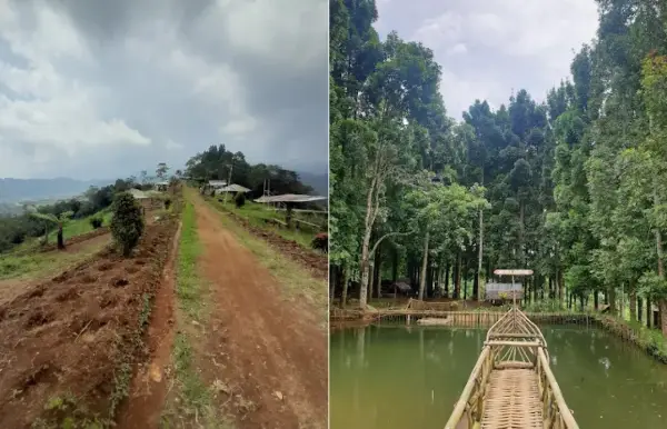 Tempat camping yang ada di Kecamatan Caringin, Sukabumi untuk menghabiskan liburan dengan berkemah bersama keluarga atau teman. (Sumber : Gmaps)