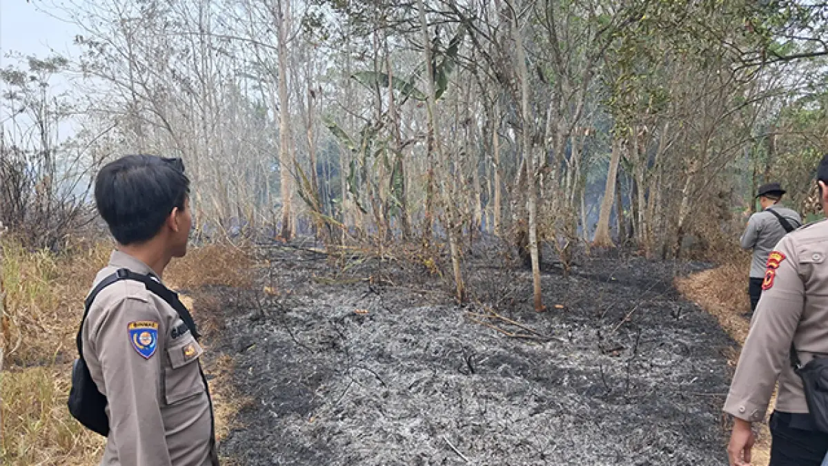 Lahan 2,3 Hektare Terbakar, Api Nyaris Merembet ke Kantor Dinas Pertanian Sagaranten Sukabumi