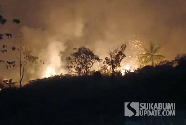 Karhutla di Desa Citepus, Kecamatan Palabuhanratu, Kabupaten Sukabumi, Jumat (16/10/2026). | Foto: Istimewa