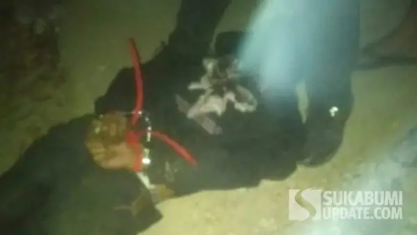 Polisi berhasil menangkap terduga pelaku pembunuhan IRT yang mayatnya membusuk di Ciemas Sukabumi. (Sumber Foto: Istimewa)