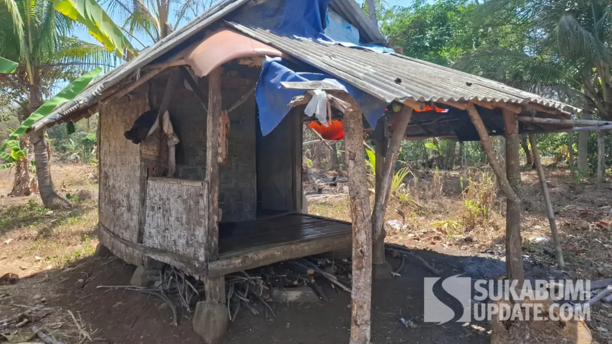 Pelaku Diringkus Saat Sembunyi di Saung, Motif Pembunuhan IRT di Ciemas Sukabumi Didalami