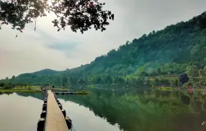Situ Rawa Gede, salah satu danau alami yang ada di kawasan Puncak 2 Bogor untuk menghabiskan waktu libur. (Sumber : Gmaps/Cicilia Diah)