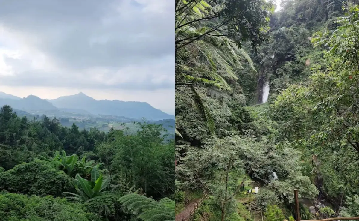 Suasana sekitar Lembah Tidar dan Curug Ciherang Bogor
