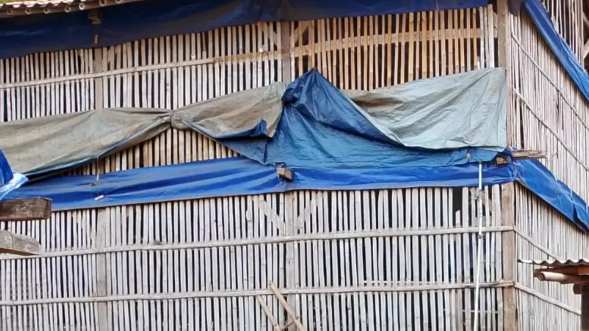 Warga Keluhkan Bau dan Serbuan Lalat, Peternakan Ayam di Nagrak Sukabumi Terancam Ditutup