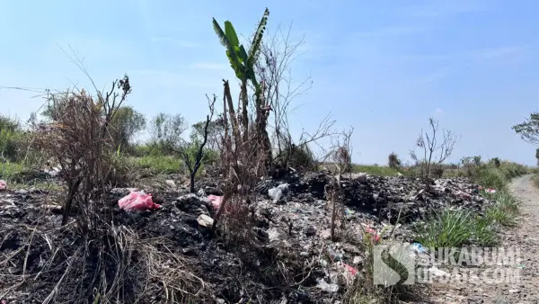 Penampakan lahan tidur milik PT Wonokoyo di kawasan Ciambar, Kabupaten Sukabumi, yang dipenuhi ilalang dan tumpukan sampah. (Sumber Foto: SU/Ibnu)