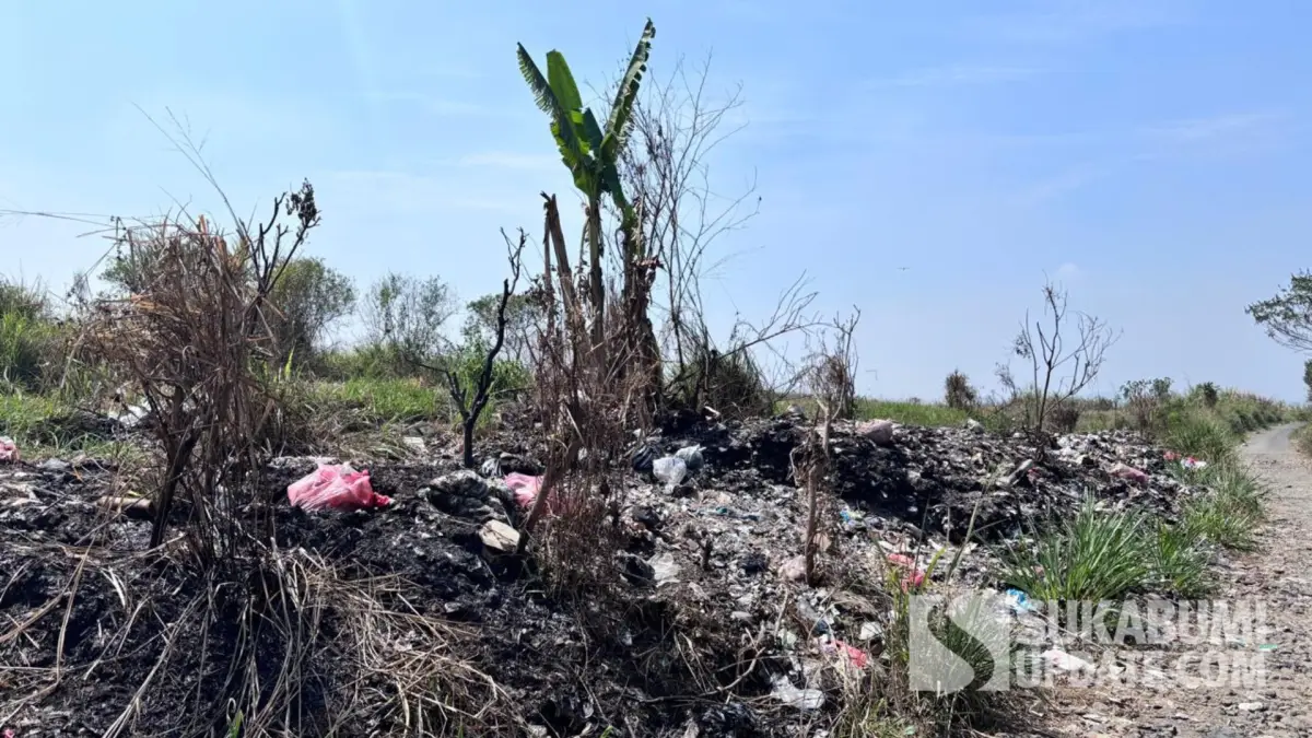 Lahan 200 Ha Jadi Semak Belukar, Petani Ciambar Sukabumi Harap PT Wonokoyo Beri Izin Garap