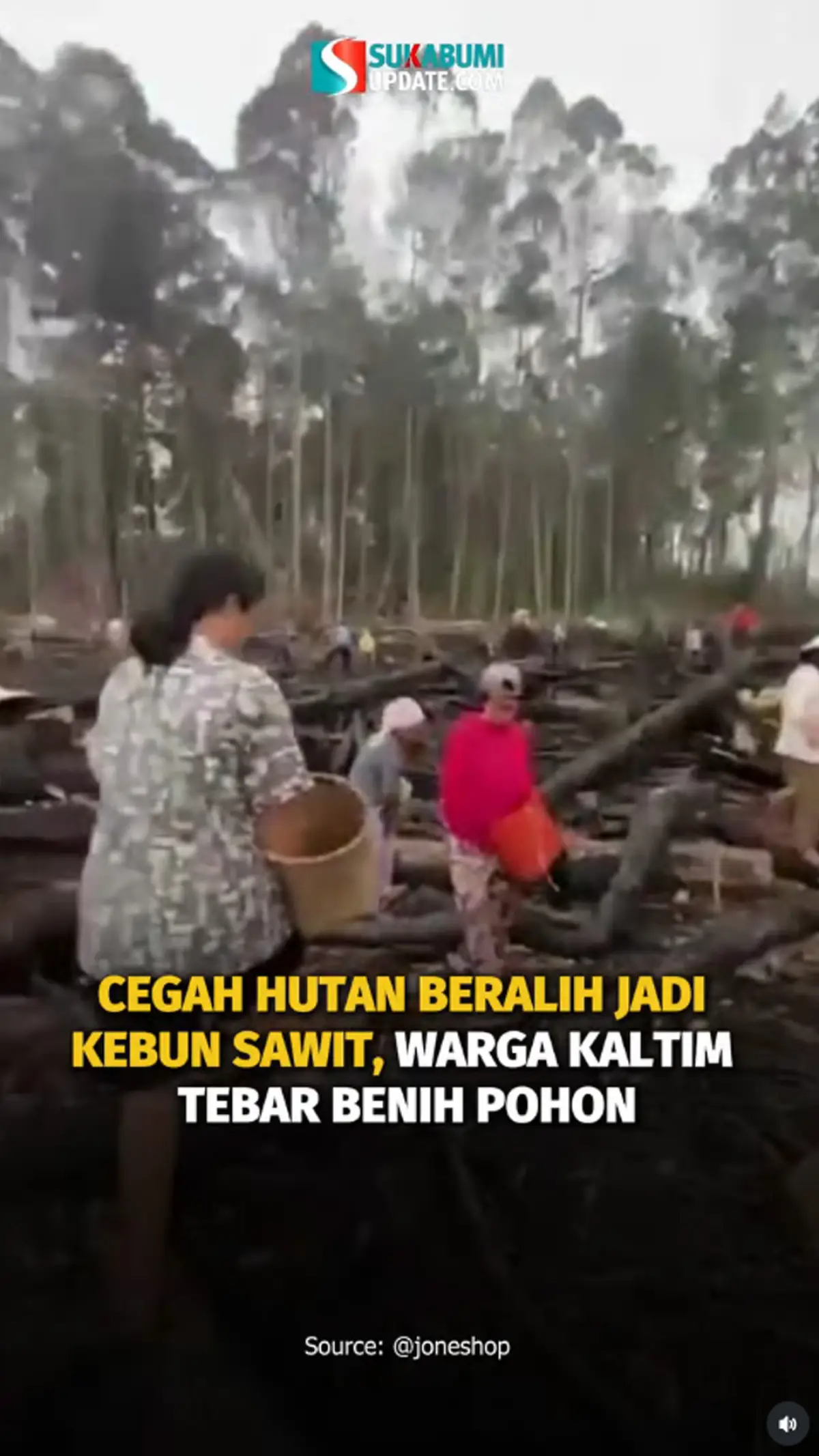 Cegah Hutan Beralih Jadi Kebun Sawit, Warga Kaltim Tebar Benih Pohon