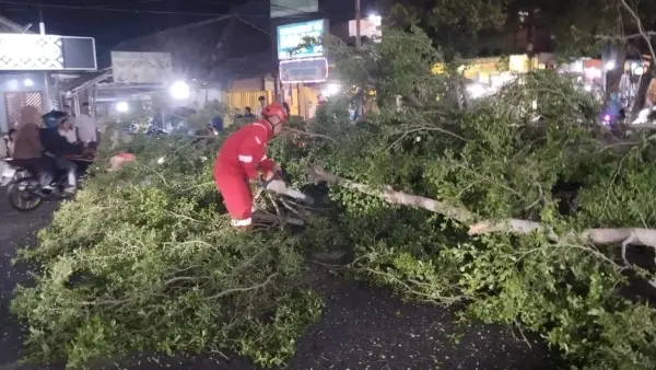 Petugas Damkar saat mengevakuasi pohon tumbang di di Jalan Siliwangi, Kecamatan Palabuhanratu, Kabupaten Sukabumi, Jumat (23/10/2026) malam. (Sumber Foto: Dok. DPKP)