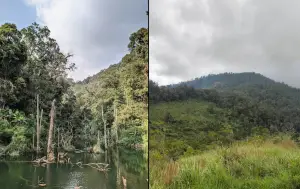Gunung Pangparang, salah satu destinasi pendakian yang ada di kawasan Bandung Timur. (Sumber : Gmaps)