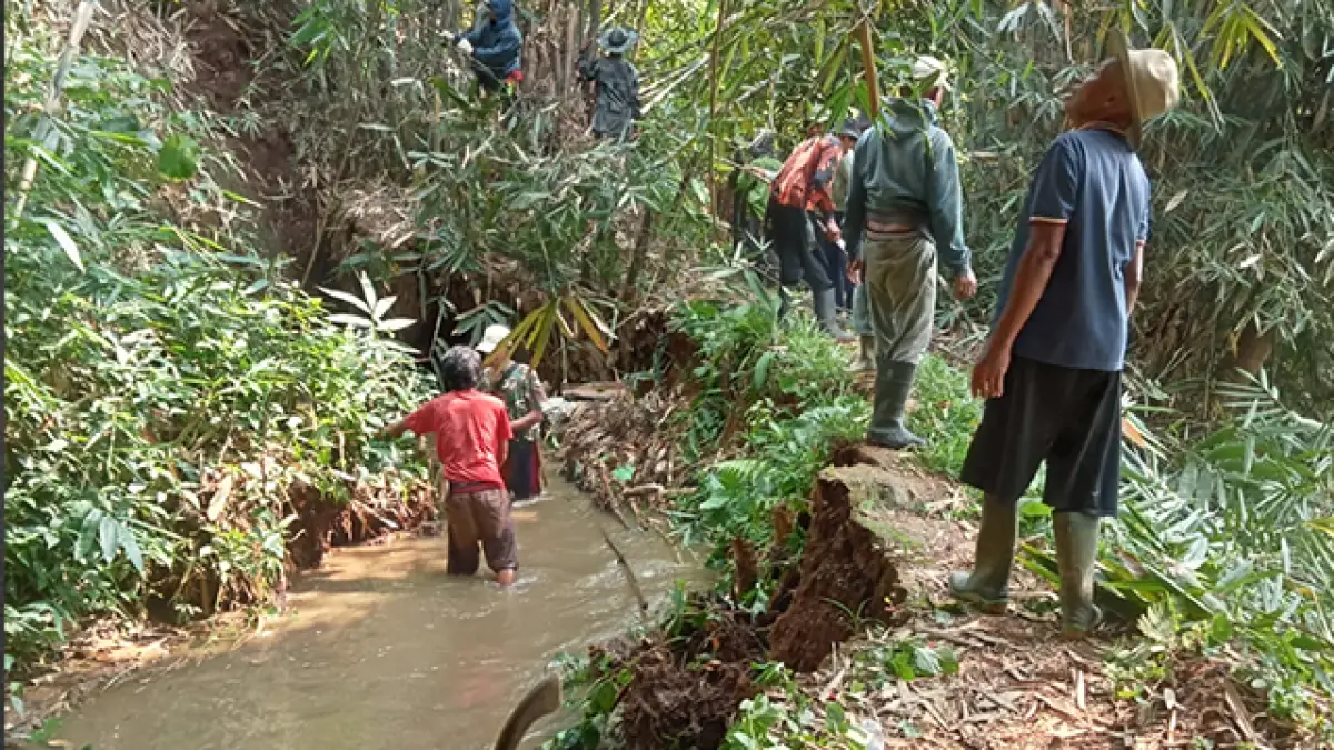 Irigasi Cibalung Sukabumi Rusak Parah, 40 Hektar Sawah Alami Kekeringan