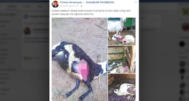 Ajag Teror Perkampungan di Curugkembar Kabupaten Sukabumi, Ini Imbauan Polisi