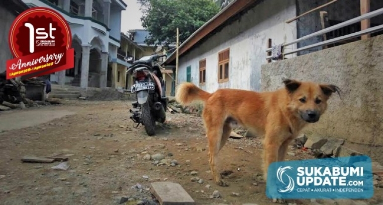 Uniknya Anjing Ini Selalu Melolong Saat Adzan, Warga Sirnarasa Kabupaten Sukabumi Malu