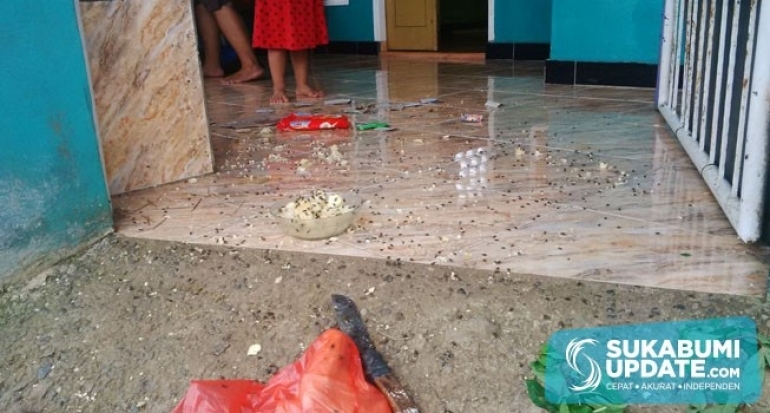 Banyak Lalat dan Bau Busuk Menyengat, Warga Cibadak Kabupaten Sukabumi Keluhkan Keberadaan Peternaka