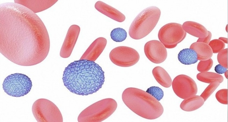 Zika Sudah Menyebar Sampai di Filipina