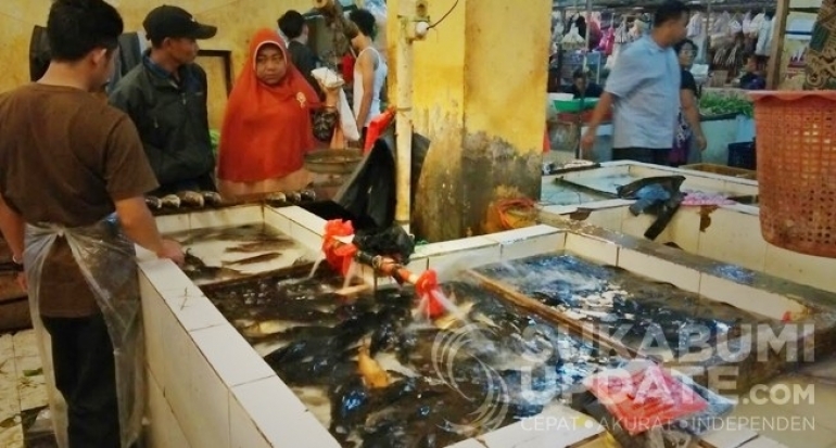 Sebulan Tiga Kali Naik, Harga Ikan Nila di Sukabumi Mahal