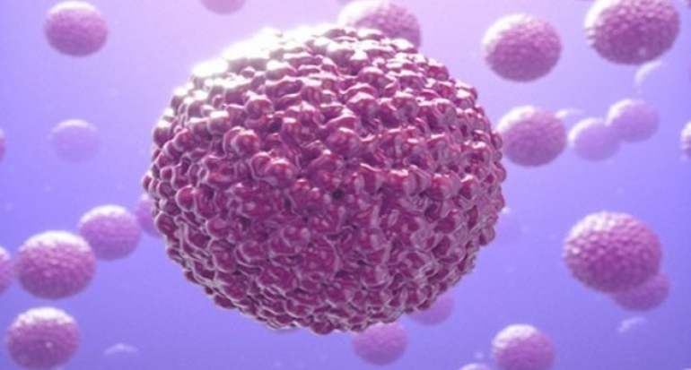 Mengenali Virus Zika dan Cara Pencegahannya