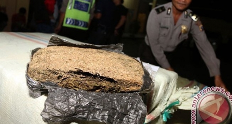 Polres Amankan Kurir Ganja dan Barang Bukiti Sebanyak 15 Kilogram