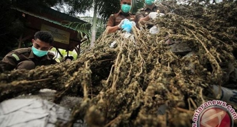 Polisi Buru Penerima Satu Ton Ganja